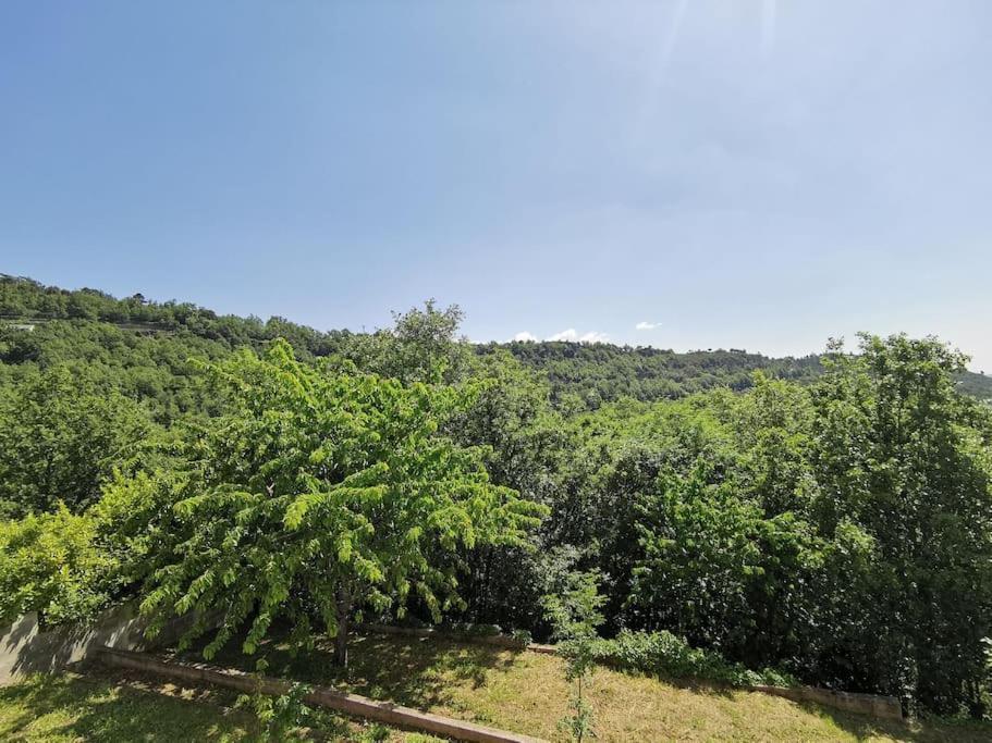Appartement 2 Ou 4 Personnes. Venaco เวนาโก ภายนอก รูปภาพ